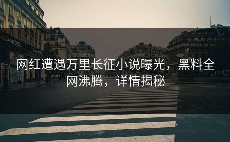 网红遭遇万里长征小说曝光，黑料全网沸腾，详情揭秘