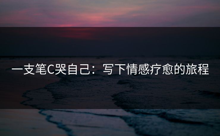 一支笔C哭自己：写下情感疗愈的旅程  第1张