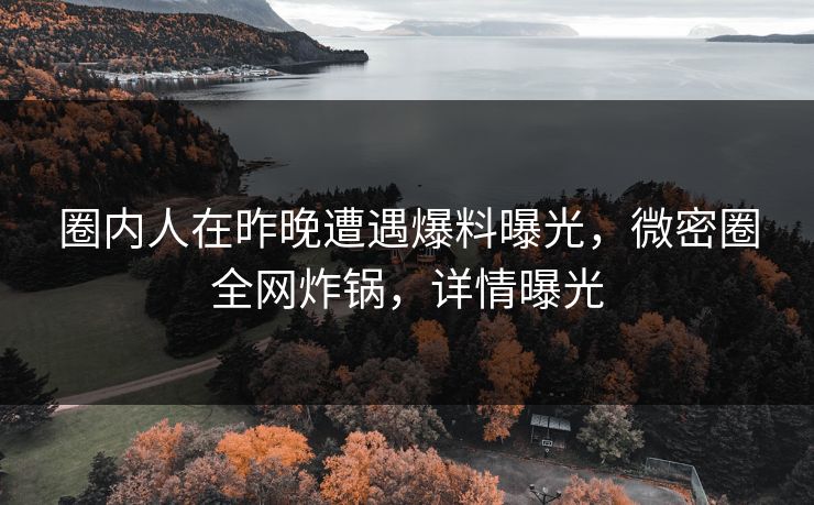圈内人在昨晚遭遇爆料曝光，微密圈全网炸锅，详情曝光